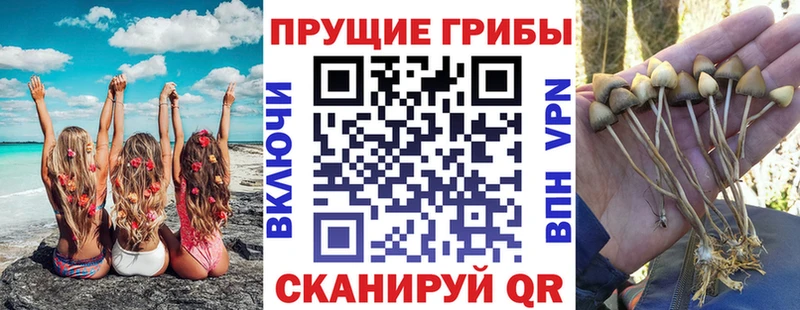 дарнет шоп  darknet состав  Галлюциногенные грибы мухоморы  Владикавказ 