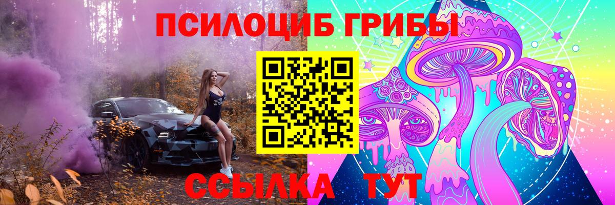 где продают наркотики  Владикавказ  Галлюциногенные грибы Cubensis 