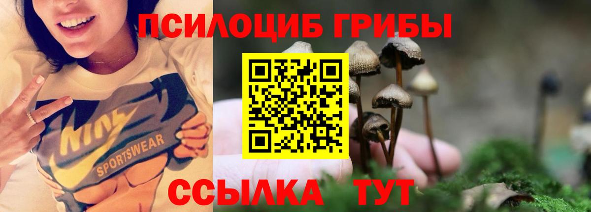Владикавказ  Галлюциногенные грибы Cubensis  Вход с VPN  Псилоцибиновые грибы Magic Shrooms 